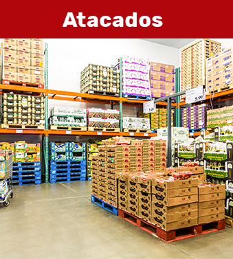 Canais de Venda – Alfa Alimentos